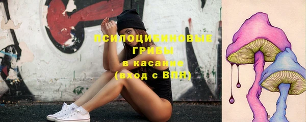 стафф Орехово-Зуево