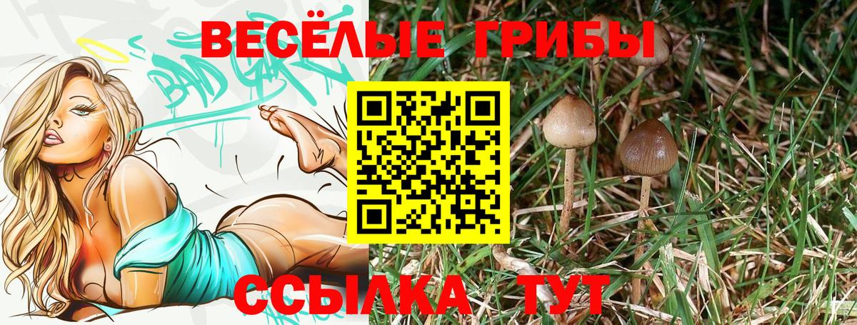 Галлюциногенные грибы Magic Shrooms Балахна